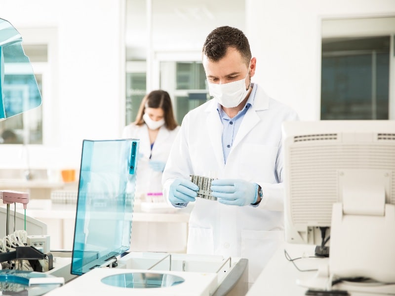 lab