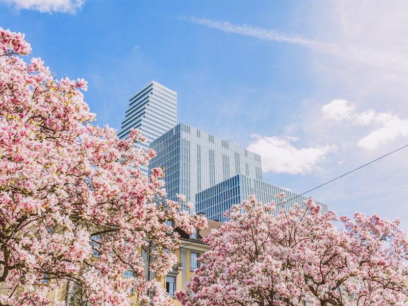 Pharma company Roche in the Basel spring